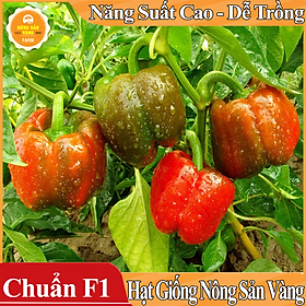 Hạt giống Ớt Chuông Ngọt Nhiều Màu ( Gói 40 hạt )