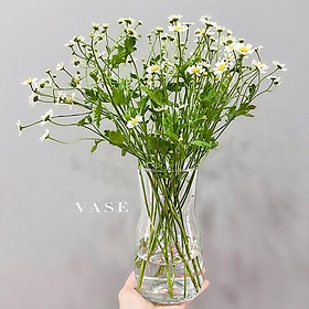 Mua Bình Hoa Thủy Tinh Trắng Trong - Giá rẻ - Cao 17cm
