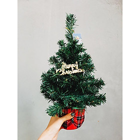 Cây thông noel trang trí giáng sinh màu xanh nhiều kích thước tặng kèm phụ kiện trang trí cao cấp
