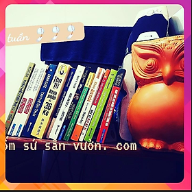Mua Decor Gốm Đất Nung Kiểu CON CÚ size 15cm X 25cm