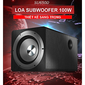 Loa Siêu Trầm Tích Hợp Amply Điện Subwoofer Công Suất Lớn 100W SU-650D