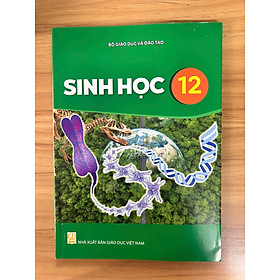 Sách giáo khoa Sinh Học 12- Kết Nối Tri Thức Với Cuộc Sống (Kèm Nilon bọc Sách, nhãn tên)