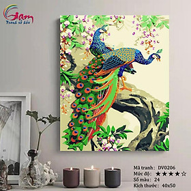 Mua Tranh sơn dầu số hóa tự tô màu Gam DV0206 40x50cm căng sẵn khung