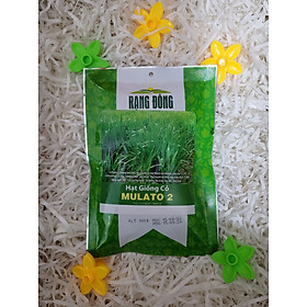 Hạt Giống Cỏ Mulato 2