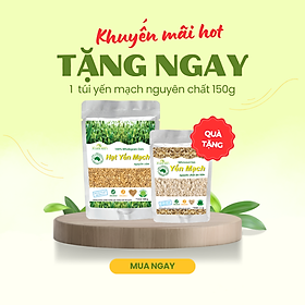 Hạt Yến Mạch Nguyên Cám Úc Xuân An [ko đường] Túi 500G (100% Australian Wholegrain Oats)(Tặng Kèm 1 Túi Yến Mạch 150G)