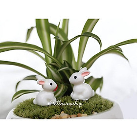 Mô hình thỏ nhỏ làm tiểu cảnh terrarium/ mô hình trang trí quà tặng trang trí