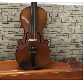 Mua Đàn Violin Châu Âu Size 4/4