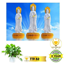 Mua Tranh điện Tam Thế Phật_TTP8
