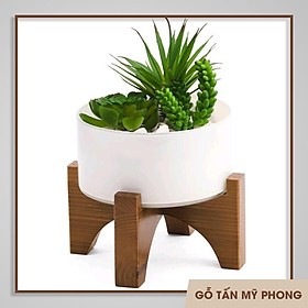Mua Đôn gỗ kê chậu sen đá  xương rồng mini tháo lắp dễ dàng  tiên lợi 5.5x10cm