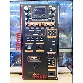 Mua Mạch Loa kéo DSP Công suất lớn A290  kích thước 19cm x38cm kiểu thùng đứng