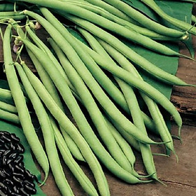Mua 20 gr Hạt giống đậu cove leo hạt đen  Đậu cove năng suất cao - Hạt giống rau củ quả