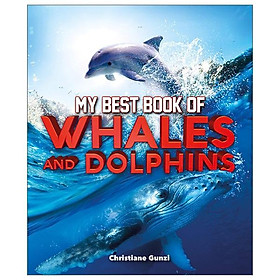 Hình ảnh My Best Book Of Whales And Dolphins