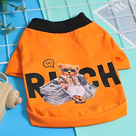 ÁO GẤU RICH COLL NGẦU TỪ 1-20KG DÀNH CHO THÚ CƯNG CHÓ MÈO