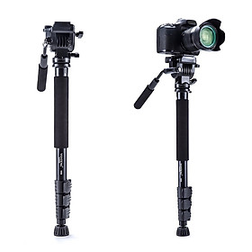 Chân Máy Monopod Yunteng Video VCT-588 - Hàng Chính Hãng