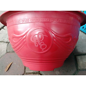 Chậu nhựa giả gỗ trồng đào quất tết đường kính 38 cm, 48 cm