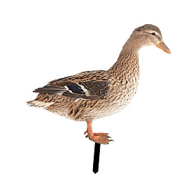 Duck Animal Statue Flat Lawn Stakes Yard Sign for Backyard Lawn Yard Pathway
