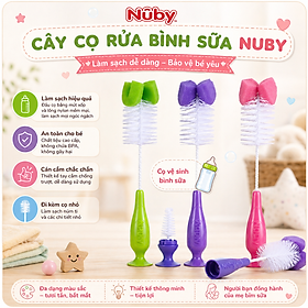 Cọ rửa