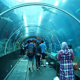 Vé Thủy Cung Underwater World Ở Pattaya, Thái Lan