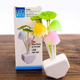 Mua Đèn ngủ CẢM ỨNG hinh nấm dễ thương