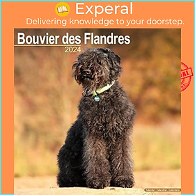 Sách - Bouvier Des Flandres (Euro) Calendar 2024  Square Dog Breed Wall Calendar - 16 Month by  (UK edition, paperback)