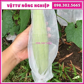 Mua 50 Túi bọc mướp  bầu. bí... kt 15x50 cm - túi bao trái cây  bảo vệ tuyệt đối