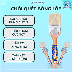 Chổi quét sơn, cọ quét sơn lông mịn xuất xưởng 2 inch 58mm giá rẻ, quét đen lốp ô tô - Chăm sóc ô tô cùng MinhChauChemical