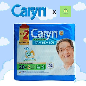 Loại tặng 2 miếng Tấm đệm lót người lớn Caryn size 42x72cm gói 20 miếng