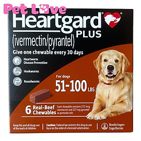 Heartgard phòng trị giun tim, giun đũa, giun móc (chó 22,5 - 45kg, hộp 6 viên)