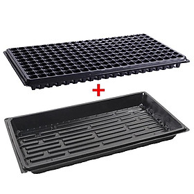 3 Bộ Vỉ nhựa ươm hạt giống kèm Khay chứa nước ươm cây 55*30*5.5 cm, Kit khay nhựa PVC