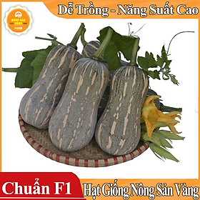Mua Hạt giống Bí Đỏ Hồ Lô ( Gói 10 Hạt ) - Nông Sản Vàng