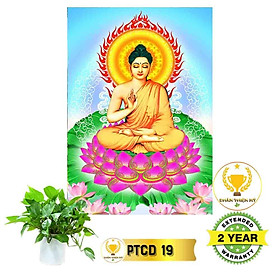 Mua Tranh Phật Thích Ca có khung_PTCK3