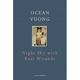 Night Sky with Exit Wounds