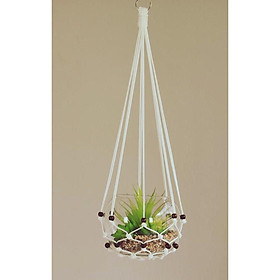 Dây tết macrame treo chậu cây bình thủy tinh độc đáo