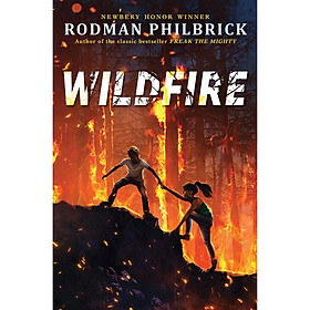 Wildfire: A Novel (Hardcover)