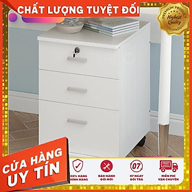 Mua Tủ hồ sơ  tủ tài liệu di động