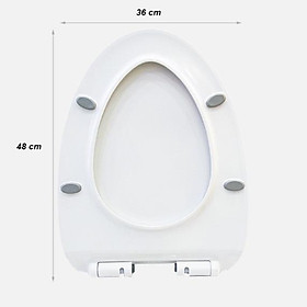 Mua NẮP BỒN CẦU ĐÓNG ÊM NHỰA 282PP PHÙ HỢP VỚI MỌI LOẠI BỒN CẦU  ĐỘ BỀN CAO