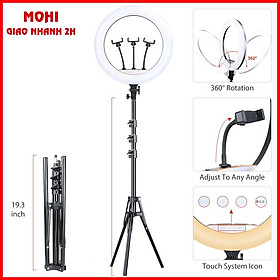 Mua ĐÈN LED LIVE STREAM 45CM  3 KẸP ĐT  CẢM ỨNG KÈM CHÂN ĐÈN 2M