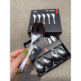 Mua SET 5 THÌA INOX HÀNG NỘI ĐỊA ĐỨC CÓ HỘP ĐỰNG ĐI KÈM SANG TRỌNG