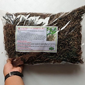 Cây Sâm Nổ (Sâm Tách) Khô 1Kg