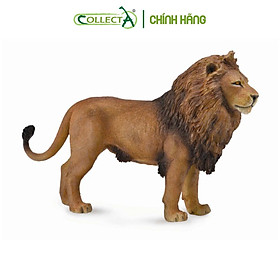 Mô hình thu nhỏ: Sư Tử bố - African Lion, hiệu: CollectA, mã HS 9651120 -  Chất liệu an toàn cho trẻ - Hàng chính hãng