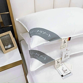 Mua Gối lông vũ xuất Nhật (cặp)