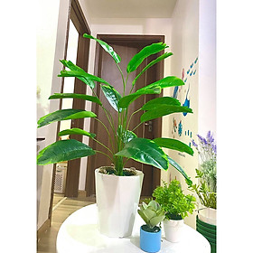 Mua Cây chuối giả cảnh - cao 90cm - Cây giả  hoa lụa Decor trang trí nhà cửa