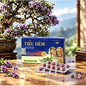 Tiểu Đêm Kingphar Hộp 30 Viên -Giúp bổ thận, cố tính, ấm bàng quang, tiểu khó, tiểu buốt, tiểu không tự chủ.