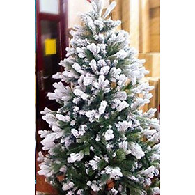 Cây thông noel 3 loại lá phủ tuyết (Cây 180cm)