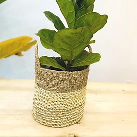 Giỏ Cói Se Sợi Buông Hình Trụ Họa Tiết Sọc Ngang