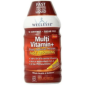 Wellesse Multivitamin Fast Absorbing, Complete B-Complex,Tangy New Citrus Flavor, 16-Fluid-Ounce (Pack of 2)