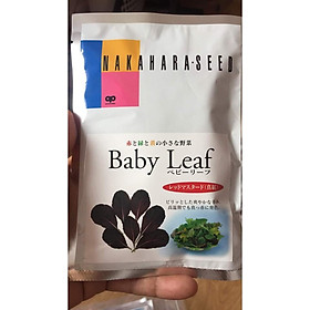 Hạt giống cải MÙ TẠT ĐỎ ĐẬM BABY LEAF - Nhật Bản