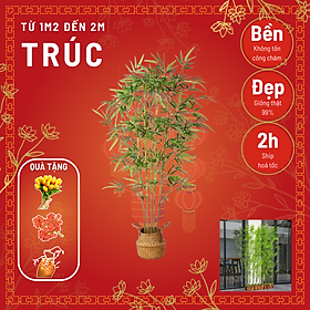 Mua Cây trúc quân tử - Chậu cây trúc giả trang trí nhà cửa
