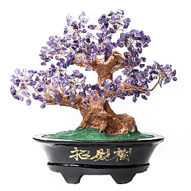 Mua Cây Tài Lộc - Cây Đá phong thủy Thạch Anh tự nhiên VietGemstones