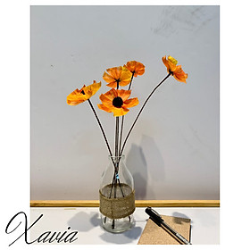 Mua Hoa khô trang trí  decor